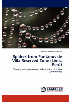 Spiders from Pantanos de Villa Reserved Zone (Lima, Peru)