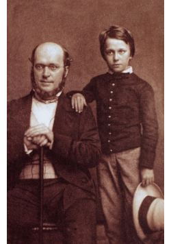 A Small Boy and Others