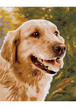 Malowanie po numerach - Golden Retriever 40x50cm