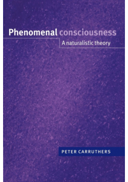 Phenomenal Consciousness