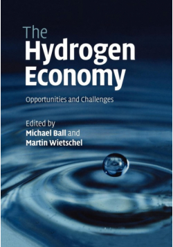 The Hydrogen Economy