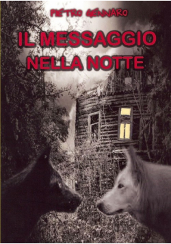 Il messaggio nella notte