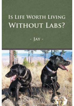 Is Life Worth Living Without Labs?