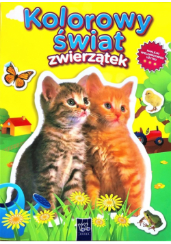 Kolorowy świat zwierzątek. Dwa kotki