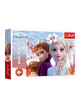 Puzzle 60 Zaczarowny świat Anny i Elsy TREFL