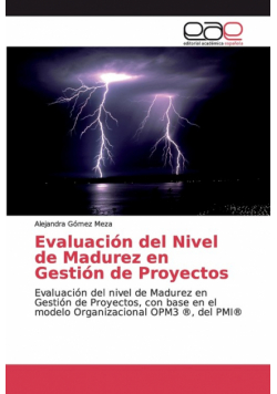 Evaluación del Nivel de Madurez en Gestión de Proyectos
