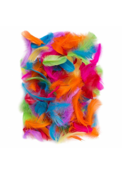 Piórka 5-12cm 10g brights