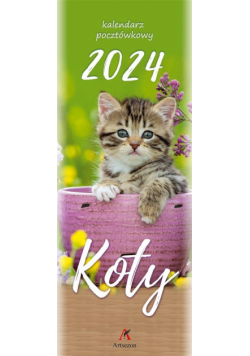 Kalendarz 2024 pocztówkowy Koty