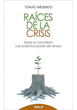 Raices de la crisis
