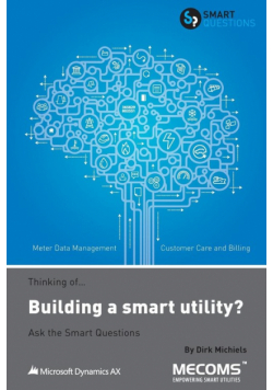 Thinking of...Building a smart utility? Ask the Smart Questions