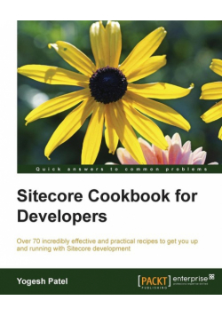Sitecore Cookbook for Developers