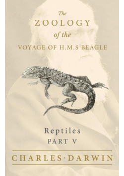 Reptiles - Part V - The Zoology of the Voyage of H.M.S Beagle ; Under the Command of Captain Fitzroy - During the Years 1832 to 1836
