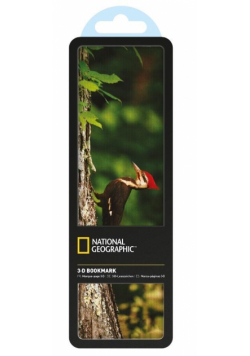 Zakładka 3D National Geographic Dzięcioł