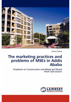 The marketing practices and problems of MSEs in Addis Ababa
