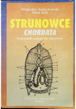Strunowce chordata
