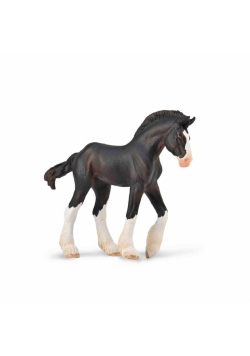 Źrebię Clydesdale maści czarnej