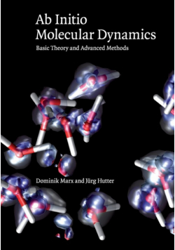 Ab Initio Molecular Dynamics