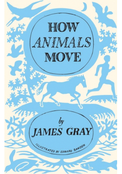 How Animals Move