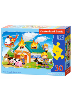 Puzzle 30 Fire Brigade in Action
