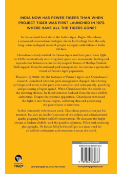 The Rise and Fall of the Emerald Tigers