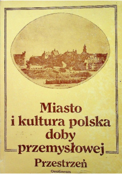 Miasto i kultura polska doby przemysłowej