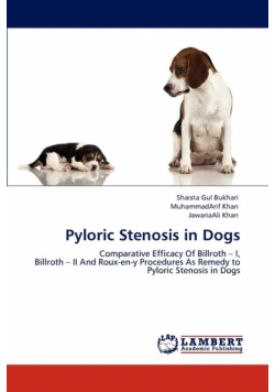 Pyloric Stenosis in Dogs