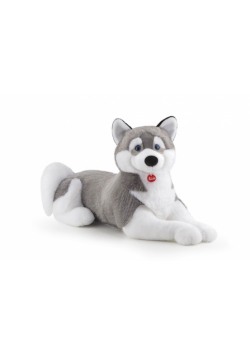 Husky Marcus klasyczny Jumbo
