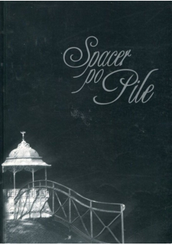 Spacer po pile