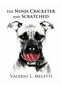 The Ninja Cricketer and Scratched