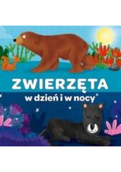 Kapitan Nauka. Harmonijka. Zwierzęta w dzień i w..