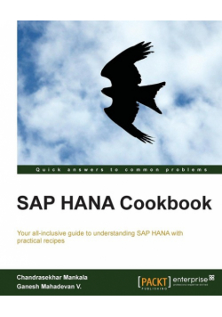SAP Hana Cookbook