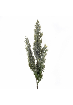 Gałązka tui 40cm