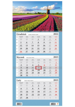 Kalendarz 2023 Trójdzielny Kwiaty Tulipany
