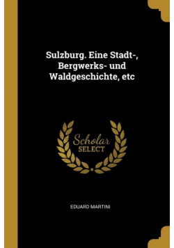 Sulzburg. Eine Stadt-, Bergwerks- und Waldgeschichte, etc
