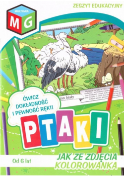 Jak ze zdjęcia - Ptaki