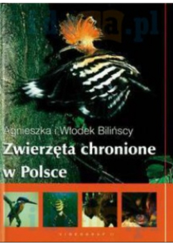 Zwierzęta chronione w Polsce Agnieszka Bilińska