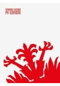 Po szkodzie