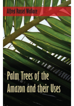 Palm Trees of the Amazon and their Uses