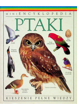 Mini encyklopedia ptaki