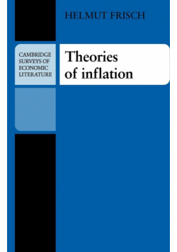 Theories of Inflation