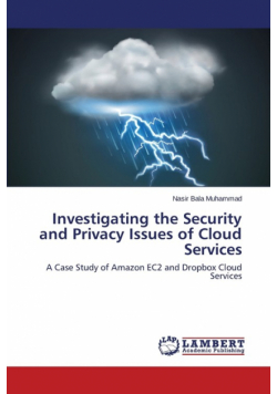 Investigating the Security and Privacy Issues of Cloud Services