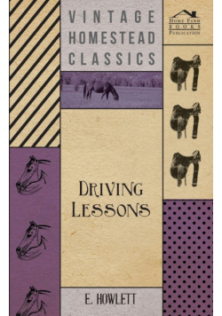 Driving Lessons