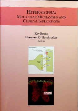 Hyperalgesia Molecular Mechanisms And Clinical Implications