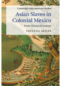Asian Slaves in Colonial Mexico