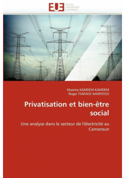 Privatisation et bien-être social