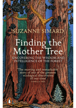 Finding the Mother Tree