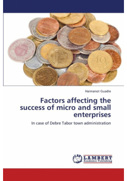 Factors Affecting the Success of Micro and Small Enterprises