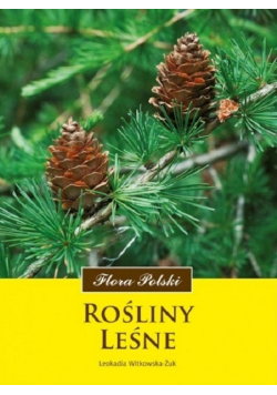 Rośliny leśne