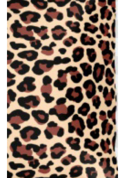 Leopard Sir Michael Designer  Writing  Drawing Journal