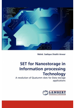 Set for Nanostorage in Information Processing Technology